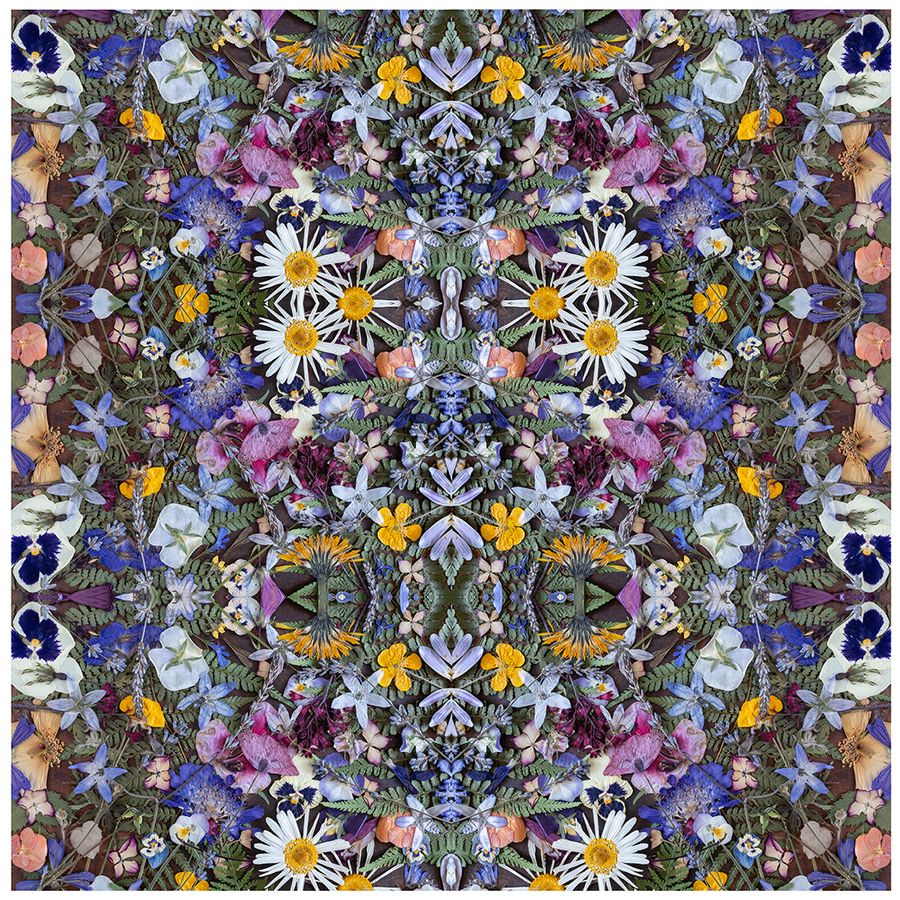 KHOL2026_KaleidBotanicals_WoodBox.Drawer_0003_02IG.jpg