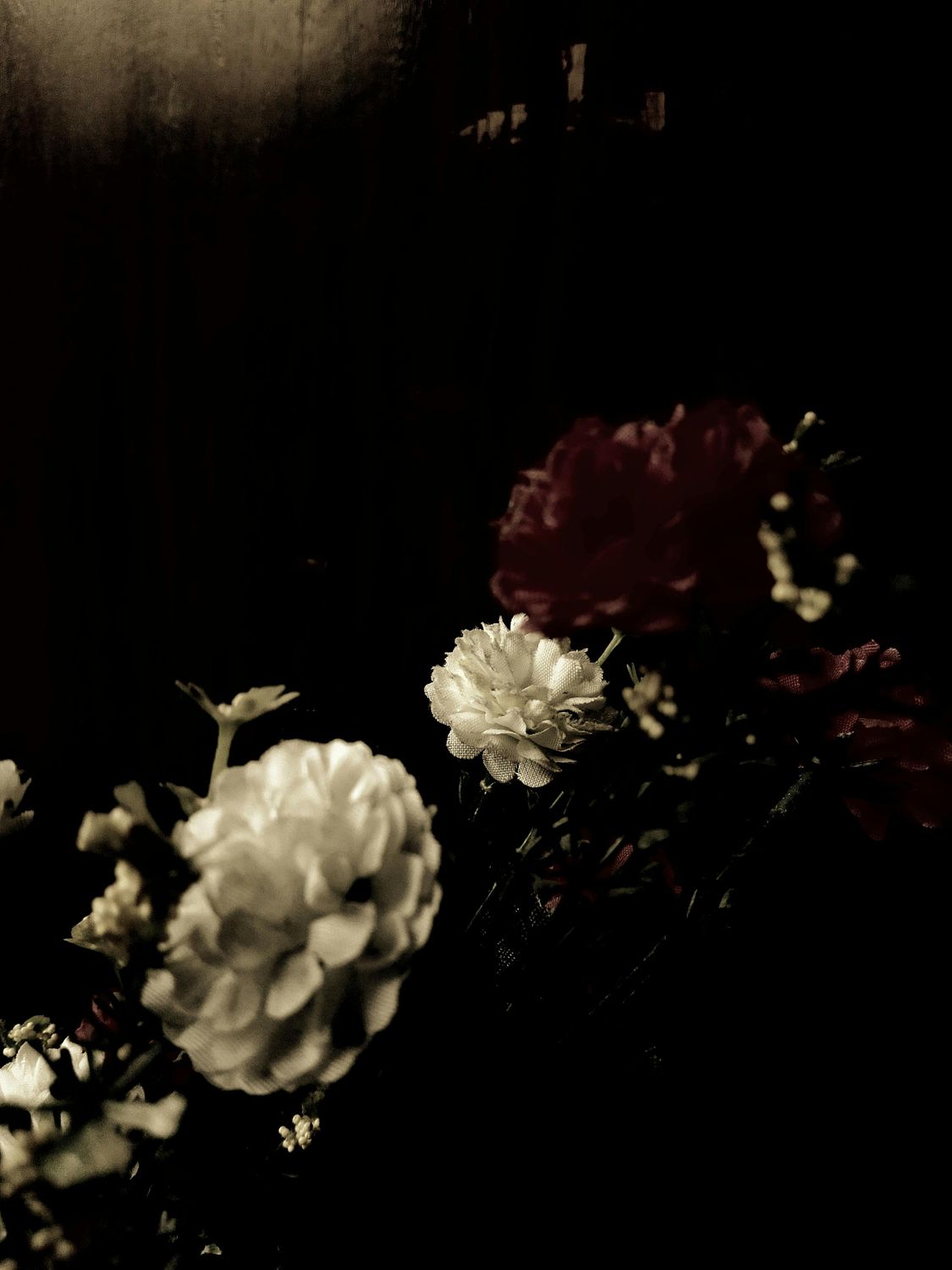 03_oviul_Botanical Silence.jpg