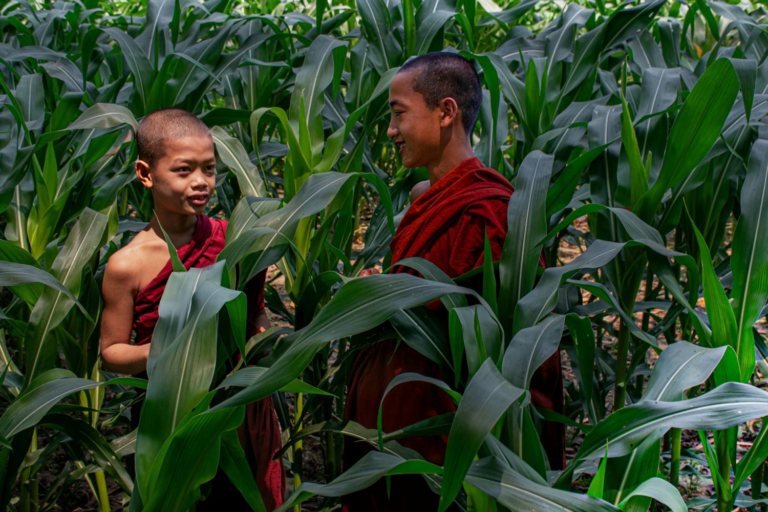Harmony of Nature and Faith.jpg