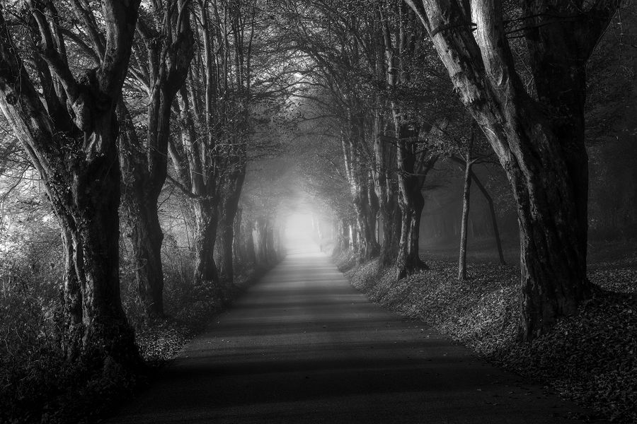 A Vision of a Dying Embrace.jpg