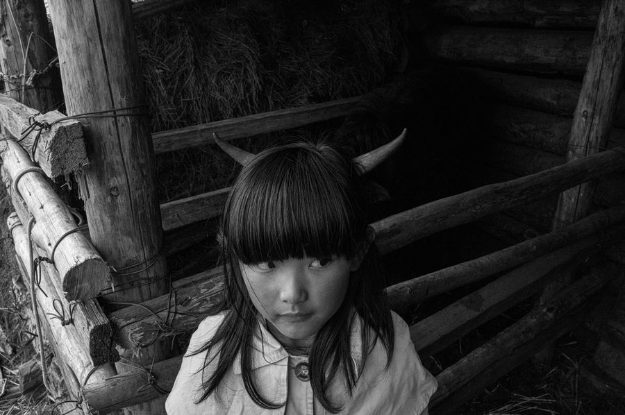 L1009574.jpg