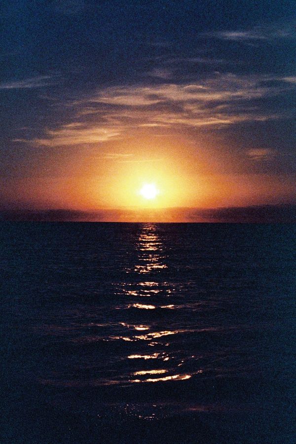 IMG_8607.jpeg