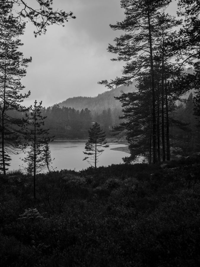 cabinnorge_04.JPG