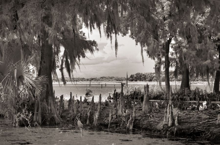 IR7 _5966 BW 8x10.jpg