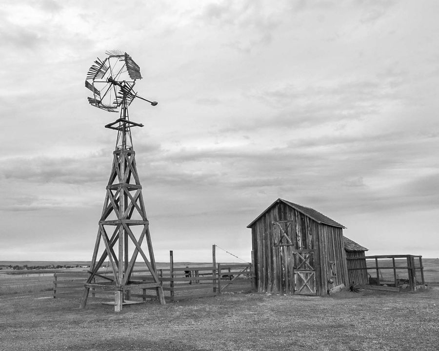 DSC_0058BW.jpg