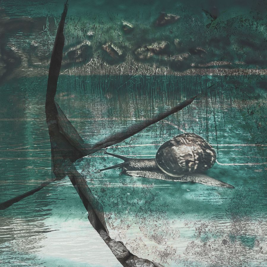 IMG_2712.jpeg