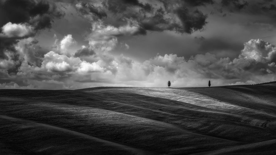 Fragments of Sky.jpg