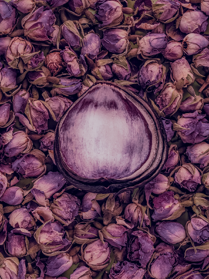 red_onion_and_roses_on_green_fotografiska.png