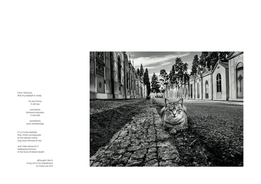 SW2025-prints_20.jpg