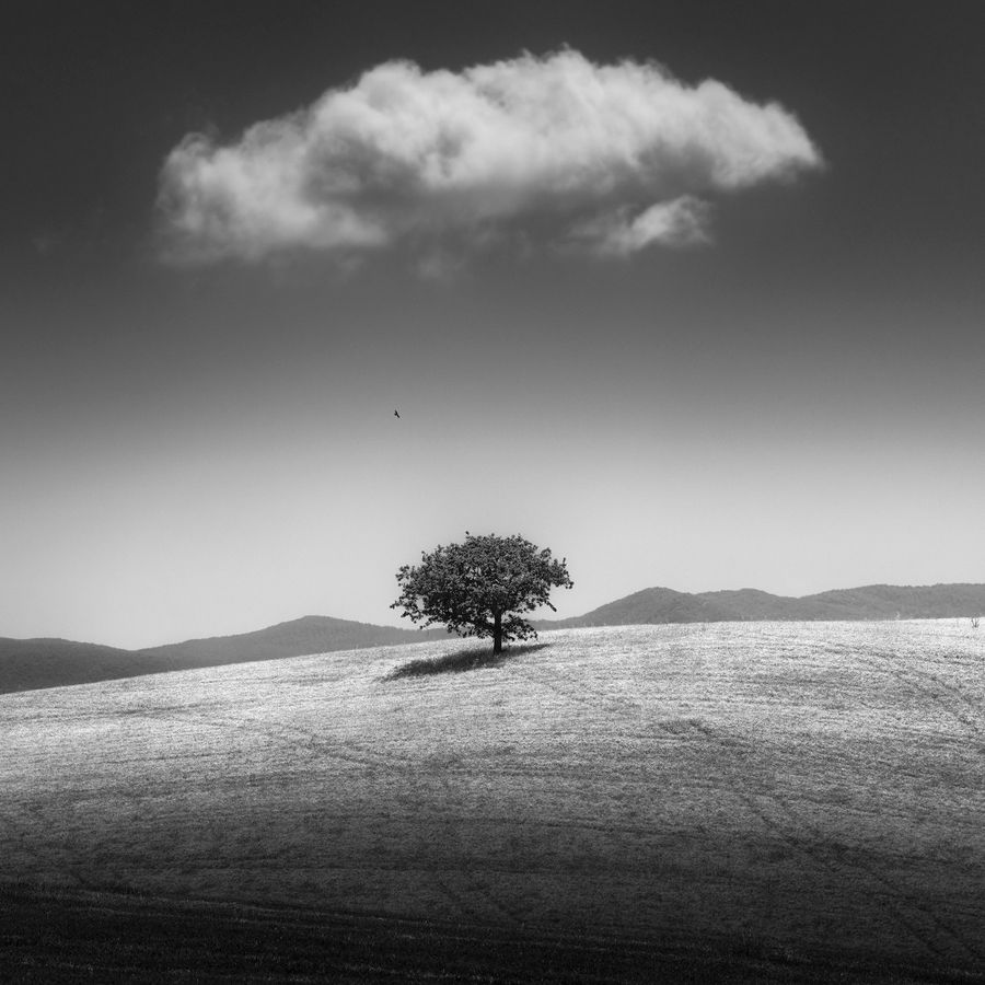 When the Sky Forgot to Fall.jpg