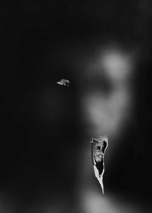 SMALLER 24x 36 FACE with WHITE BORDER no frame.jpg