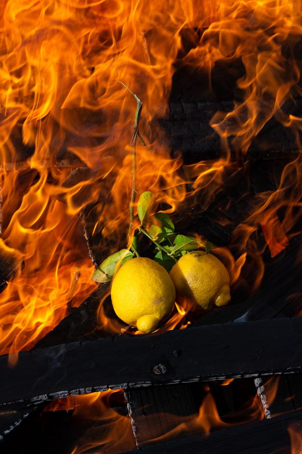 Character Building - Lemons on fire_1920px.jpg