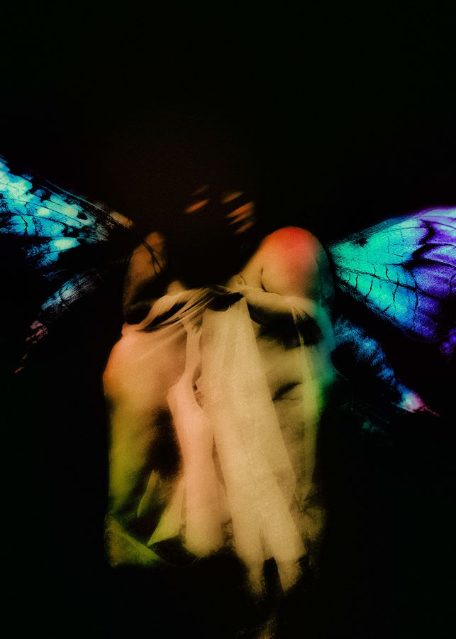 Fairies, small size.jpg