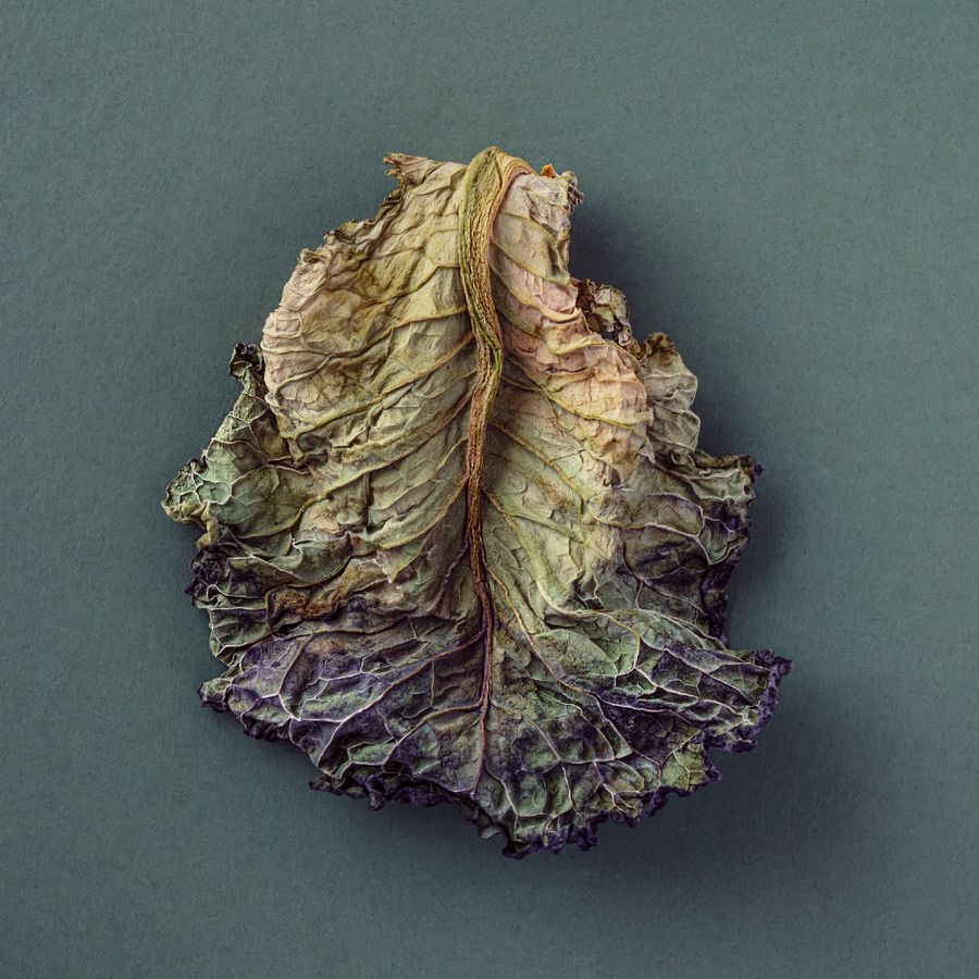 dress_to_kill_cabbage_leaf_kat_janikowska-leett.jpg