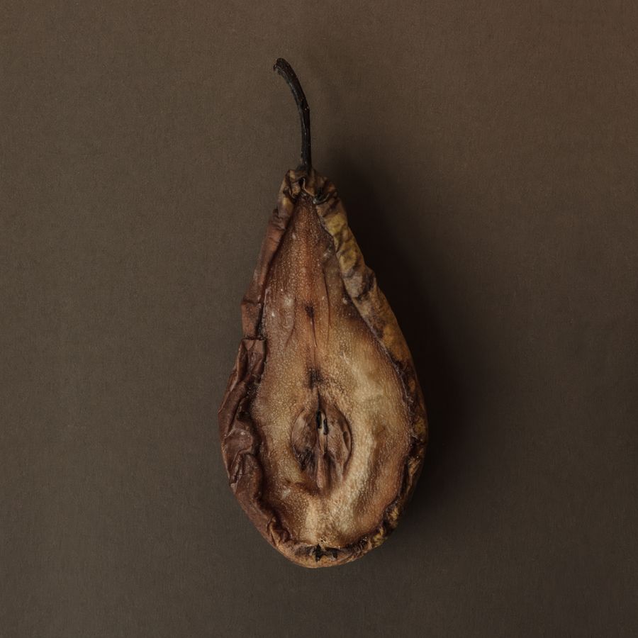 comeback_not_compost_pear_kat_janikowska-leett.jpg