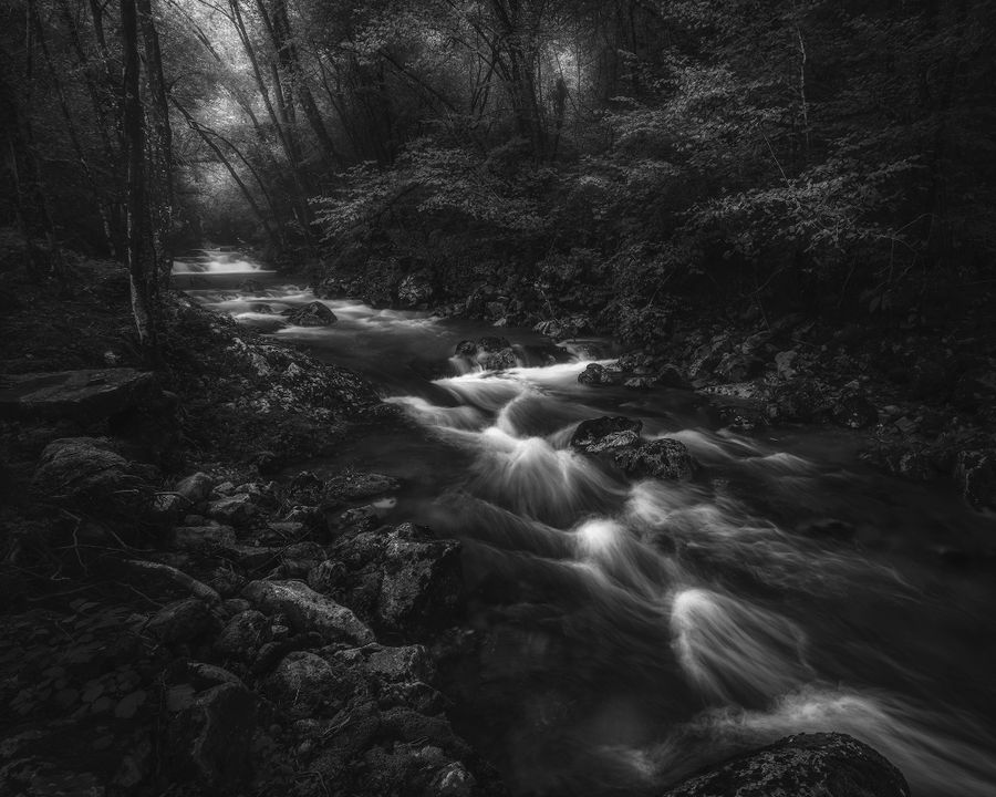 River of Shadows.jpg